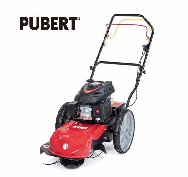 PUBERT BRAND : YUCCA 60H  <br>   KIVA BRAND : ZINNIA